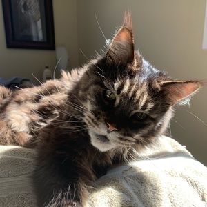 Meet your Posher, Andrew